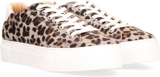 للتفاعل التفاوت إقامة luipaard gympen - daydreema.com