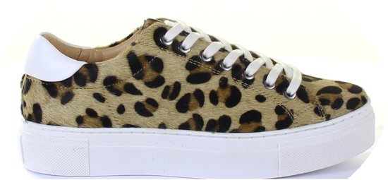 Steve Madden Cliff dad sneakers goud/panterprint - Damesschoenen.nl